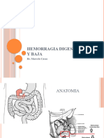 Hemorragia Digestiva Alta y Baja..