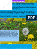 Presentation On Diversity of Taraxacum