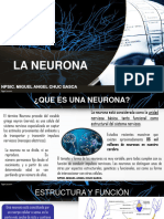 Tema 2. La Neurona