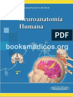 MC5 - Neuroanatomia-Humana-Porrero - J, Garcia, - J, Hurle 2015