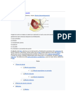 Aborto 2do Semestre