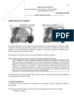 Documento 3 - CATEGORÍAS GRAMATICALES