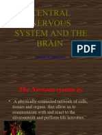 Botan's Cns and The Brain 2023