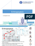 2 Eritropoyesis