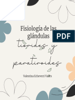 Fisiología de Las Glándulas Tiroides y Paratiroides