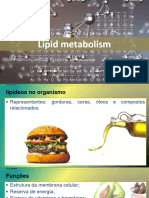 Metabolismo Dos Lipídios