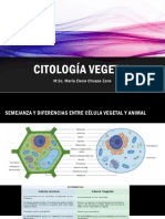 Citología Vegetal