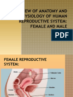 Review of Anatomy and Physiology of Human Reproductive