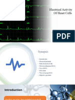 Electrical Activity of Heart Cells