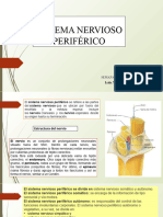 Sistema Nervioso Periferico Semana 28