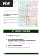 Biochimie Microbienne 05 GluconeogeneseL2