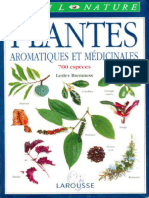 Plantes Aromatiques Et Médicinales