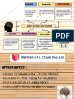 Organizador Grafico Areas Neurofuncionales - Bases