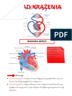 Fizjologia - Układ Krążenia