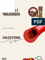 Colesterol e Triglicerideos 11