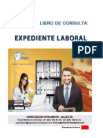 Expediente Laboral - Manual