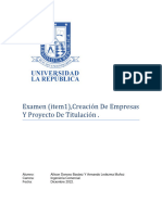 Examen (Item 1) Creacion de Empresas Y Proyecto de Titulación, Allison Donoso Basáez Y Armando Ledezma Muñoz.