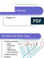 Segmented Worms