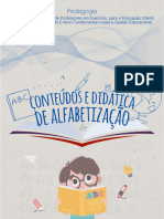 D13 - Conteúdos e Didática de Alfabetização