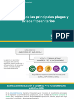 Monitoreo de Las Principales Plagas y Avisos Fitosanitarios