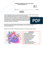 Atividade 3 Bimestre Circulação