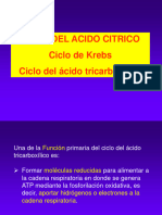 09 CICLO DE KREBS Veterinaria