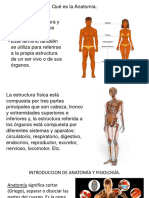 3 Intoduccion Anatomia