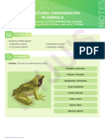 Structural Organisation in Animals: Frog - Digestive System, Respiratory System, Circulatory System, Lymphatic System