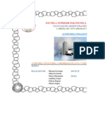 FORMATO AUDITORIA FINANCIERA - PPyE - GRUPO 7