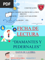 Diamantes y Pedernales