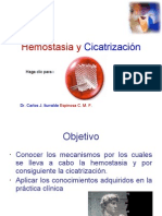 Hemostasia y Cicatrización