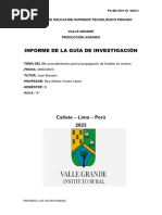 Informe de Guia de Investigacion