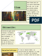 Bosques Caducifolios