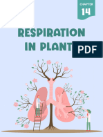 Respiration in Plants