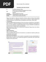 Informe Revisor