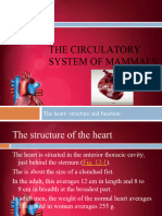 Heart Structure - 1