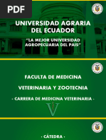 Universidad Agraria Del Ecuador