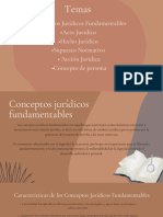 Conceptos Jurídicos Fundamentales 