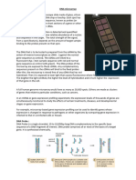 DNA Microarray