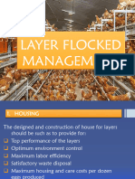 2.4 Layer Flock Management