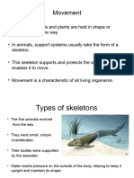 Lesson 1 - Types of Skeletons