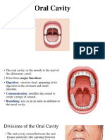 Oral Cavity