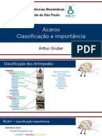 Ácaros - Classificação e Importância