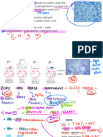 LRR Microbiology Part