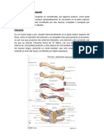 Cuadernillo de Anatomía 3