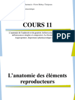 Cours 11 Botanique I 2022-2023