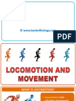 20 Locomotion N Movement