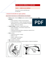 Embryologie Générale - Synthèse