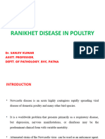 Ranikhet Disease of Poultry