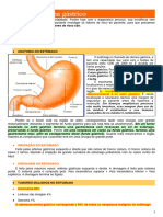 Adenocarcinoma Gástrico